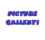 Watch more pictures of the newcomer here!