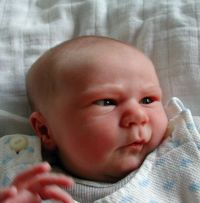 Huh? Come back later. I'm in a meeting. No time for smalltalk.